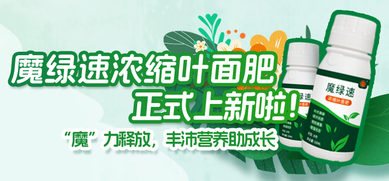 豐沛營養(yǎng)助成長！魔綠速濃縮葉面肥上新啦